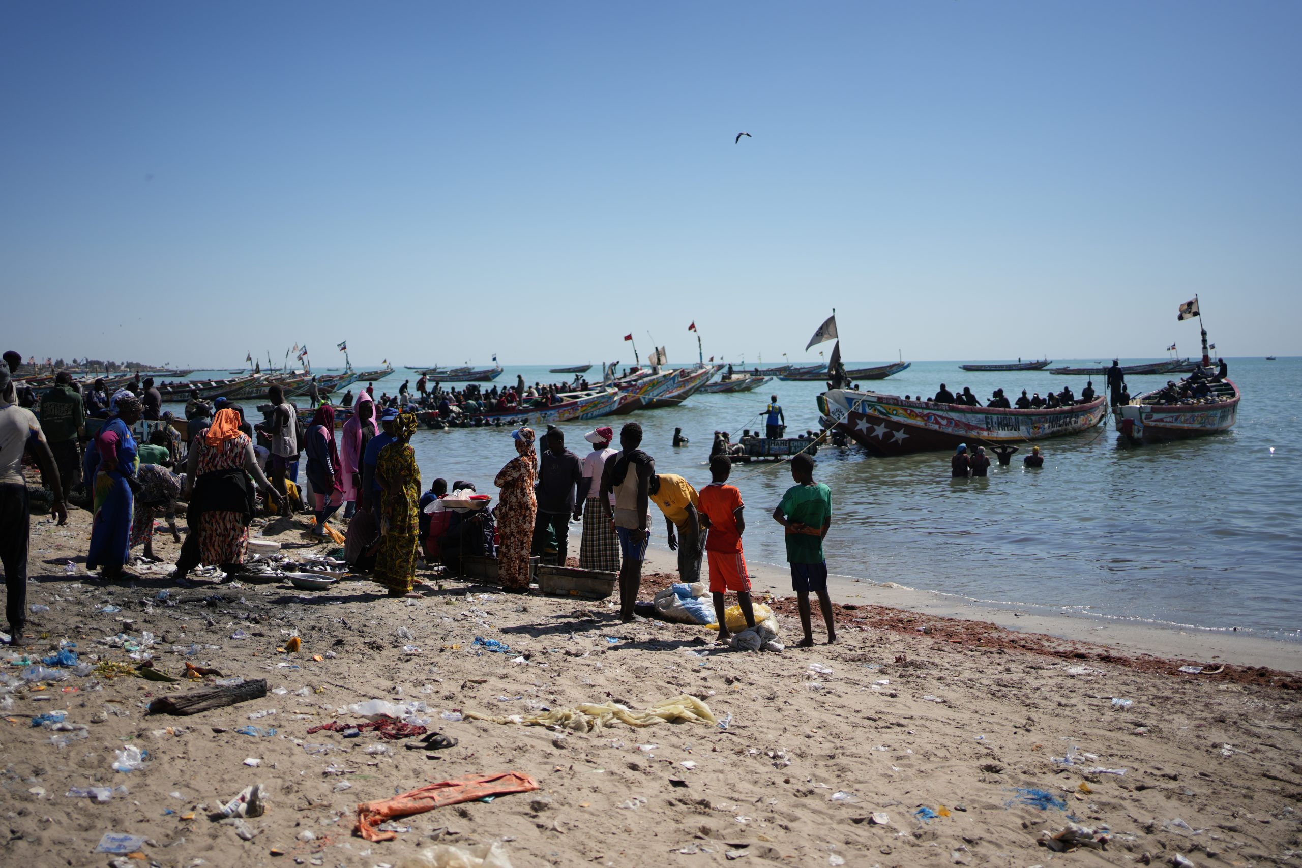 Copia di DSC00619 scaled