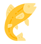 fish 2